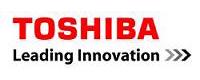 TSDV - Toshiba Software Development